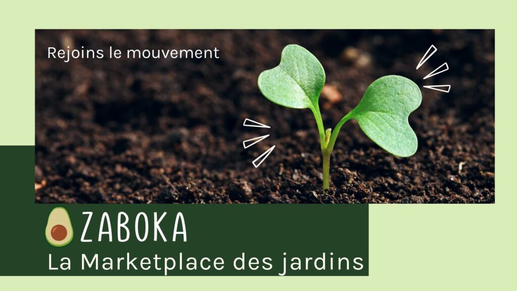 Pour démarrer sur Zaboka, il vous suffit de télécharger l'app et parcourir les offres. Vous pouvez aussi poster les surplus de vos jardins.
